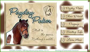 Payday Poker, a stallion site in html featuring a video clip and a contact form script